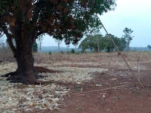 Land for Sale at wisdom layout Enugu