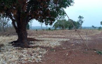 Land for Sale at wisdom layout Enugu